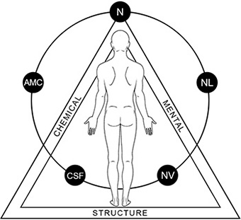 Kinesiologia applicata